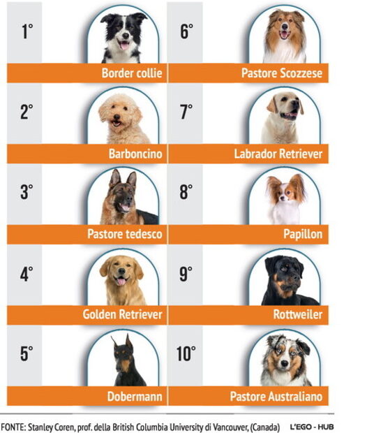 classifica cani