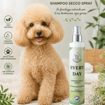 Shampoo Secco